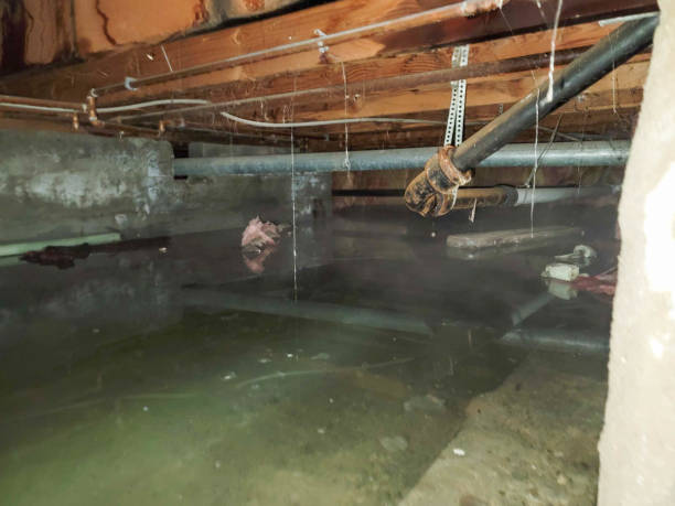 Best Basement water damage restoration  in Cleveland, OK