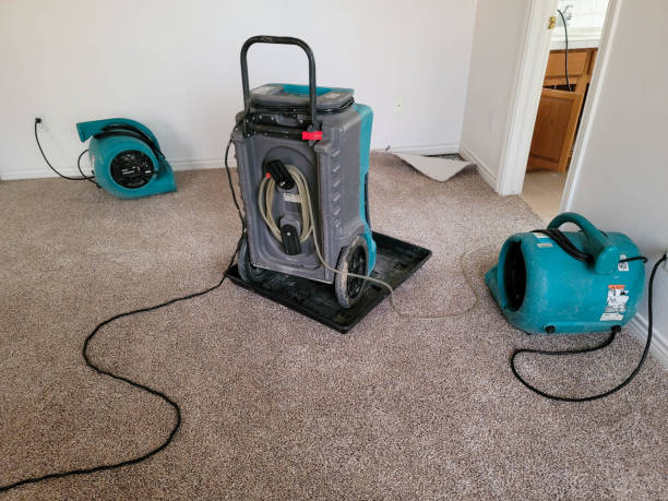 Best Water damage restoration insurance claims  in Cleveland, OK