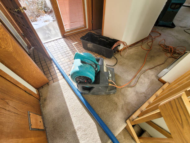 Best Carpet water damage restoration  in Cleveland, OK