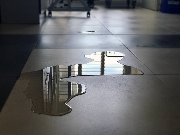 Best Water damage cleanup near me  in Cleveland, OK