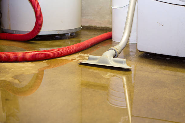 Best Basement water damage restoration  in Cleveland, OK